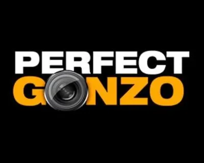 Perfect Gonzo