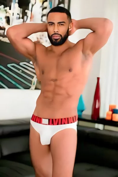 Stallion